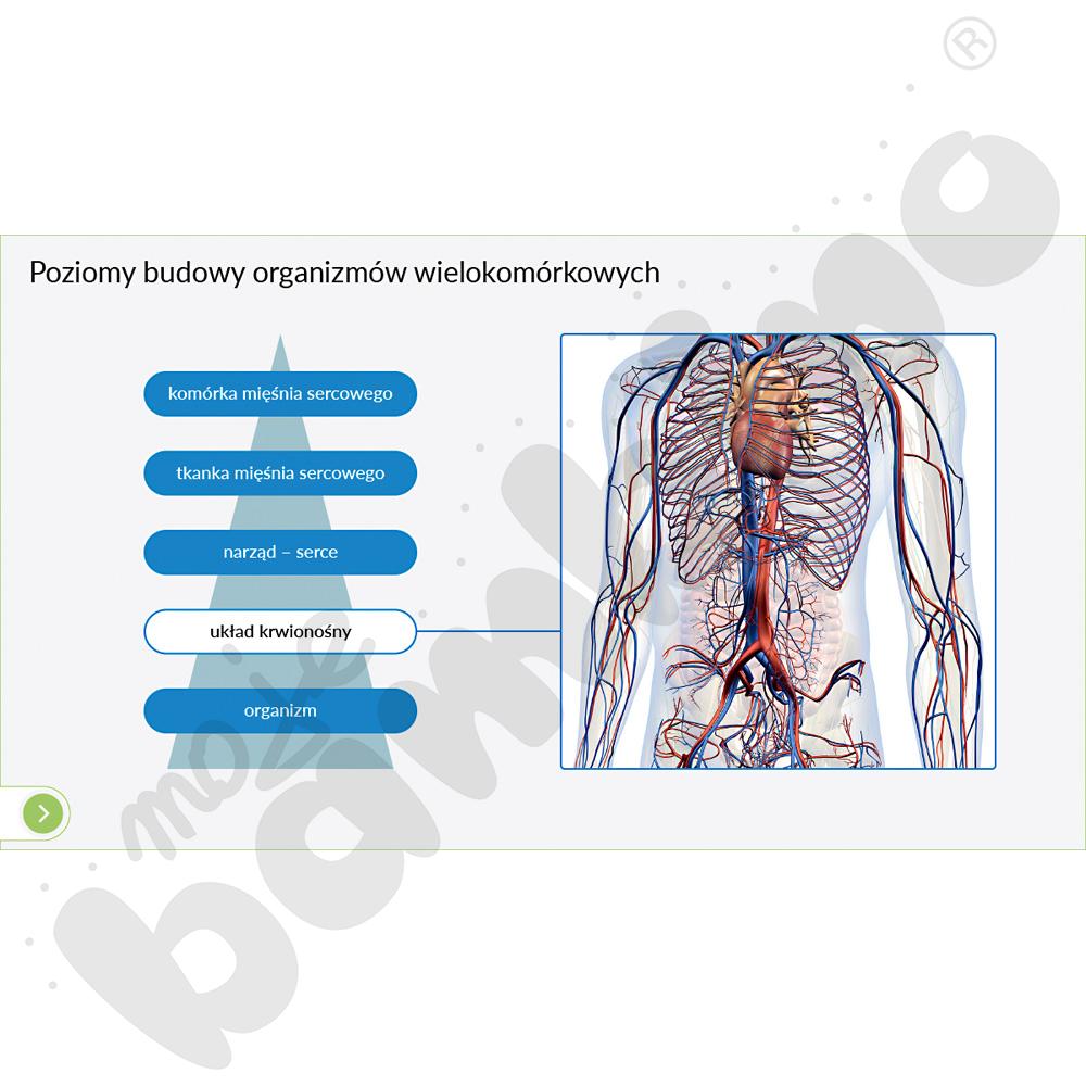 Interaktywne Plansze Przyrodnicze - Biologia, kl. 5-8