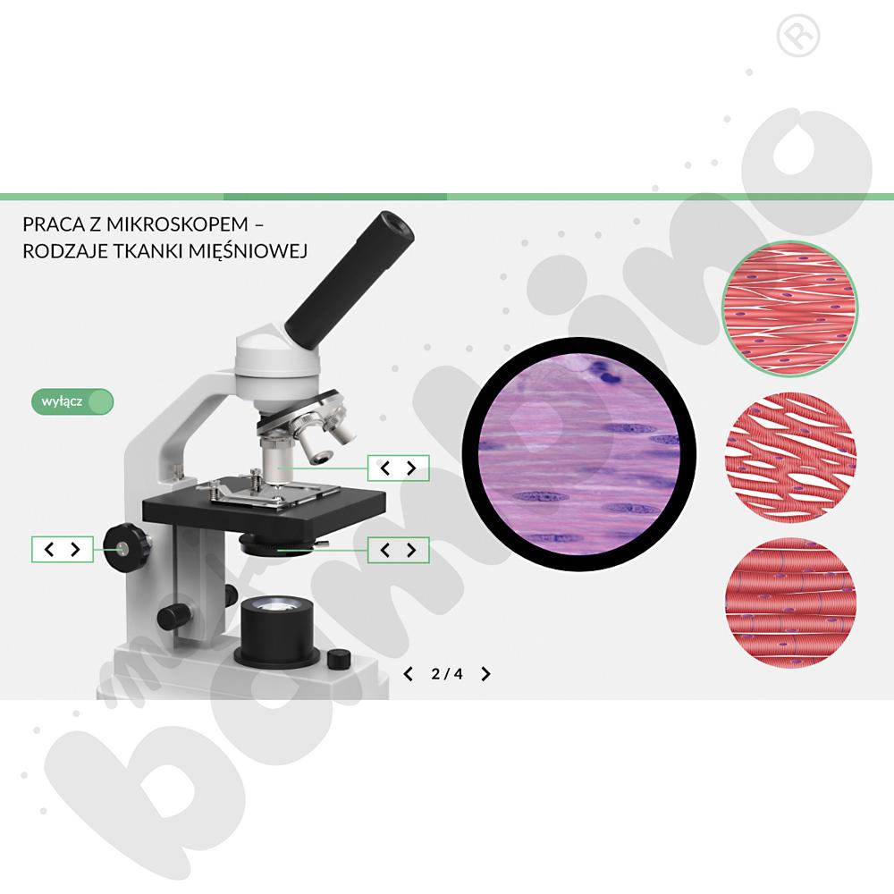 Wirtualne Laboratoria Przyrodnicze: Biologia