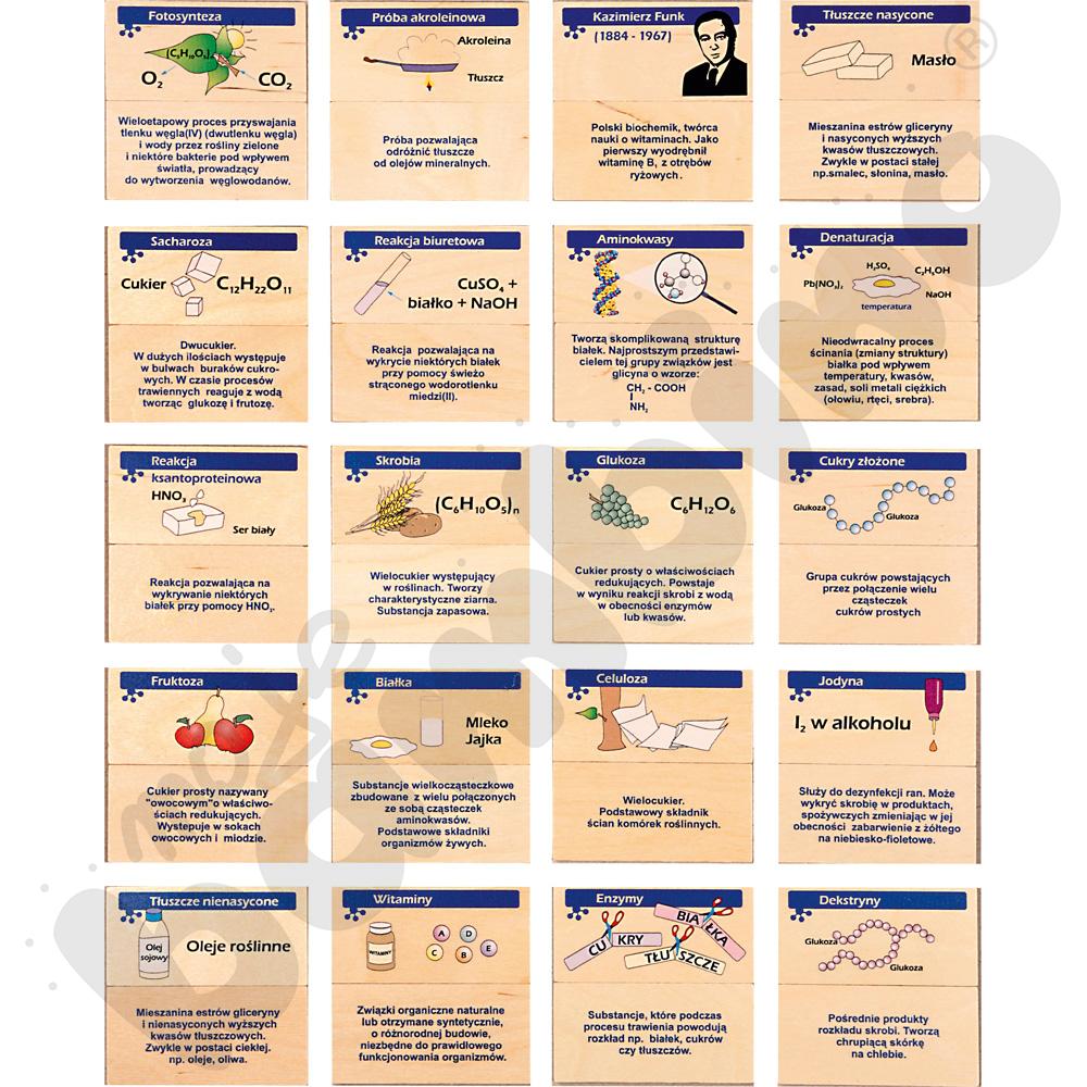 Chemiczne memory - Między chemią a biologią