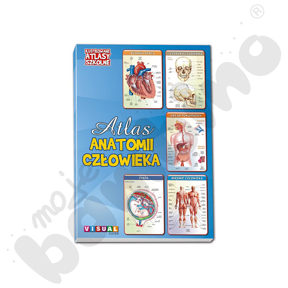 Ilustrowany atlas szkolny anatomii człowieka