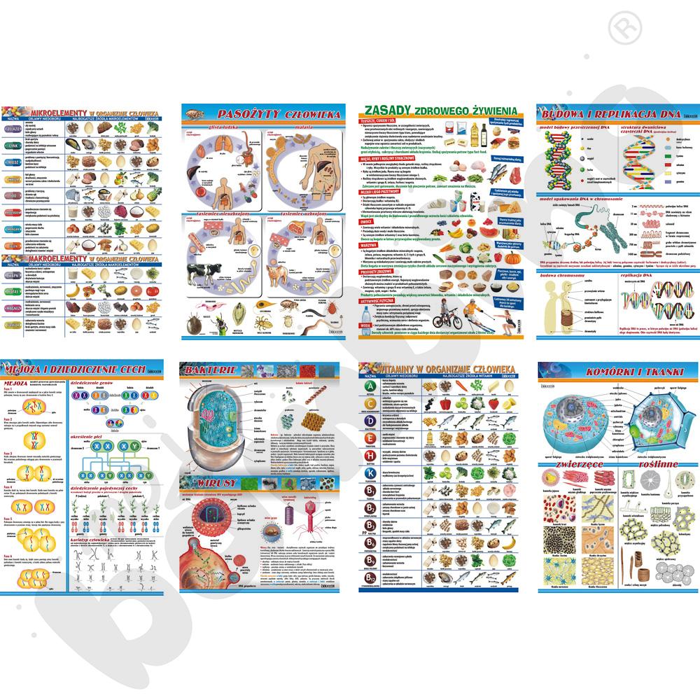 Mikrobiologia i zdrowie człowieka - zestaw plansz dydaktycznych