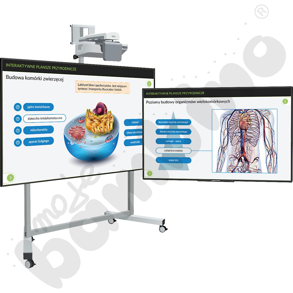 Interaktywne Plansze Przyrodnicze - Biologia, kl. 5-8