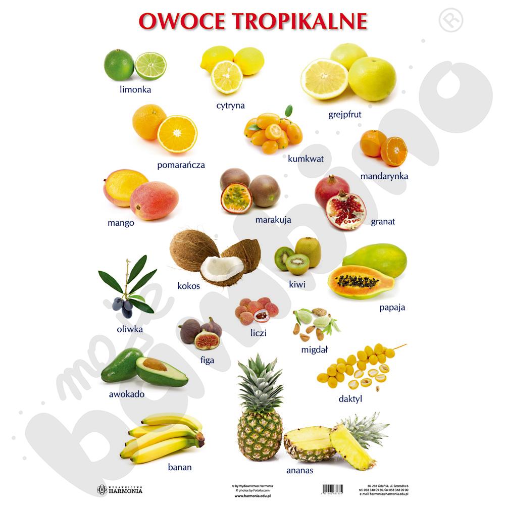 Dwustronna plansza tematyczna - Owoce tropikalne