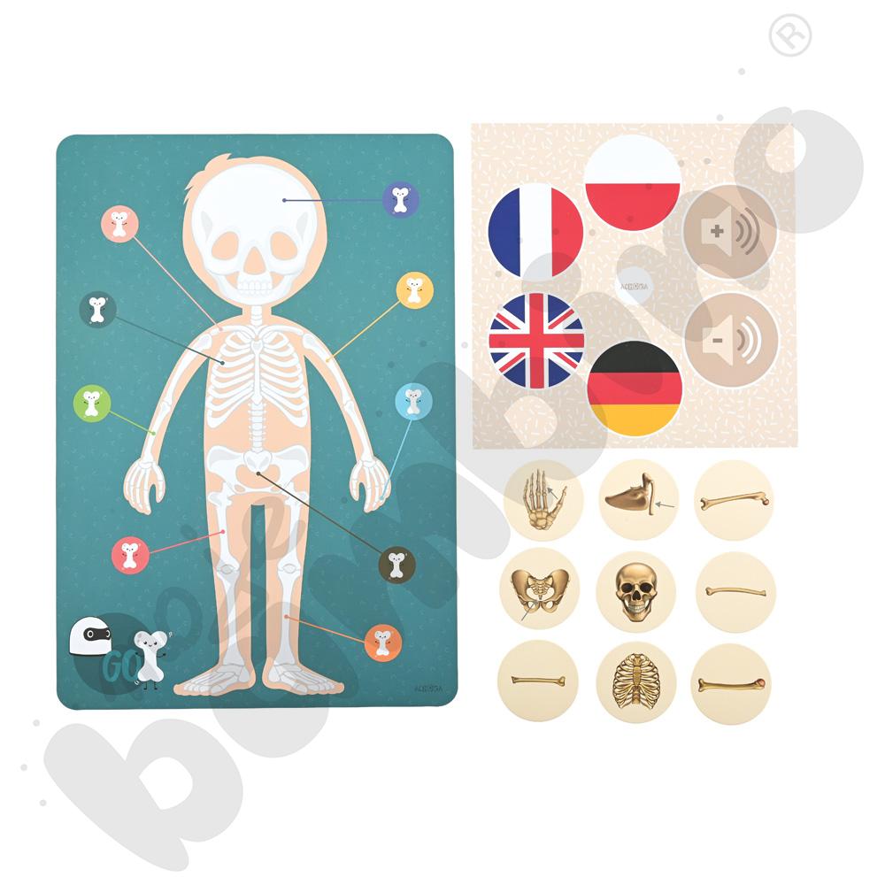 LOGI miniBot - szkielet człowieka