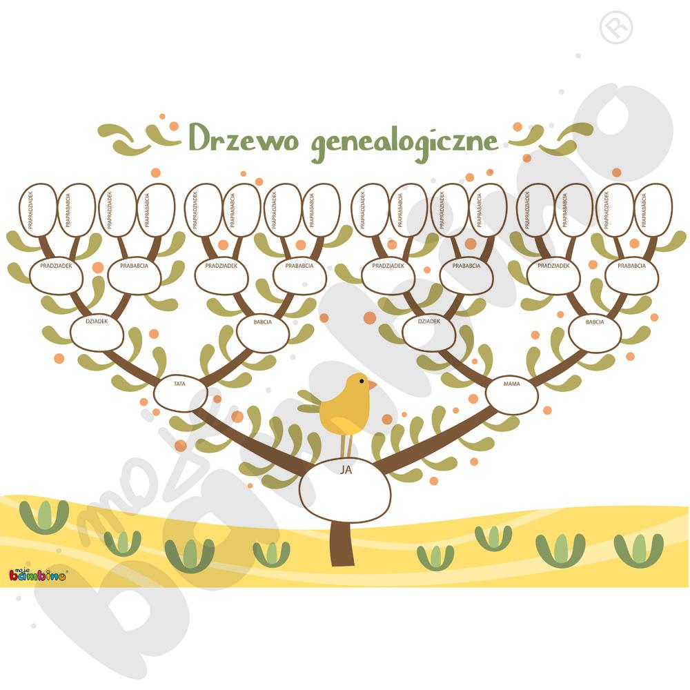 Ścierny Cytrynowy zawartość drzewo genealogiczne Założenia, założenia.  Odgadnąć Prywatność tratwa