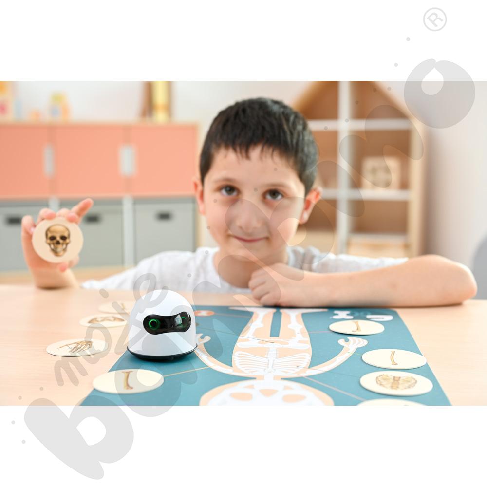 LOGI miniBot - szkielet człowieka