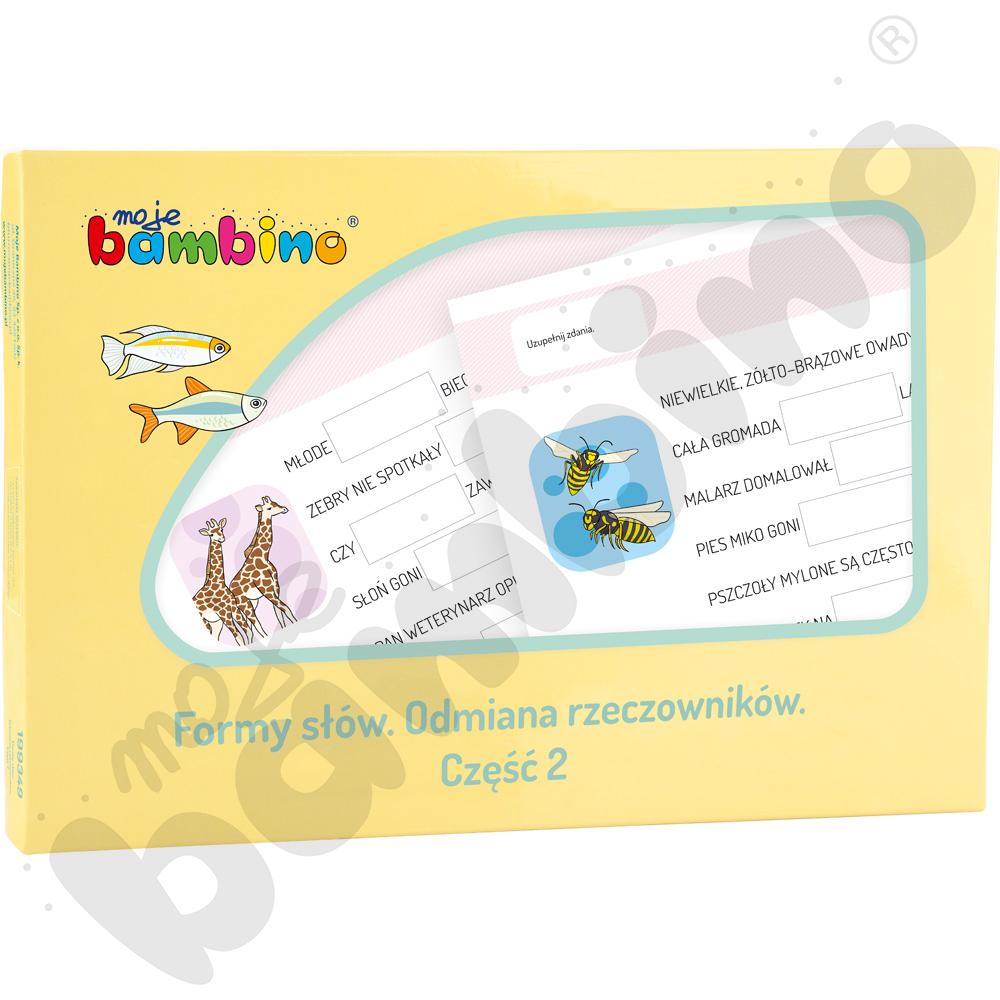 Formy słów. Odmiana rzeczowników. Część 2 Formy słów. Odmiana rzeczowników. Część 2
