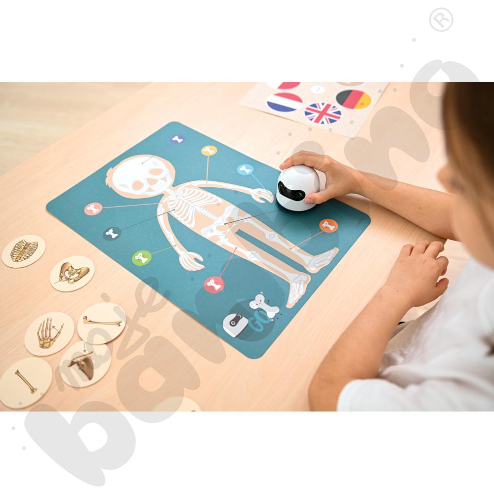 LOGI miniBot - szkielet człowieka