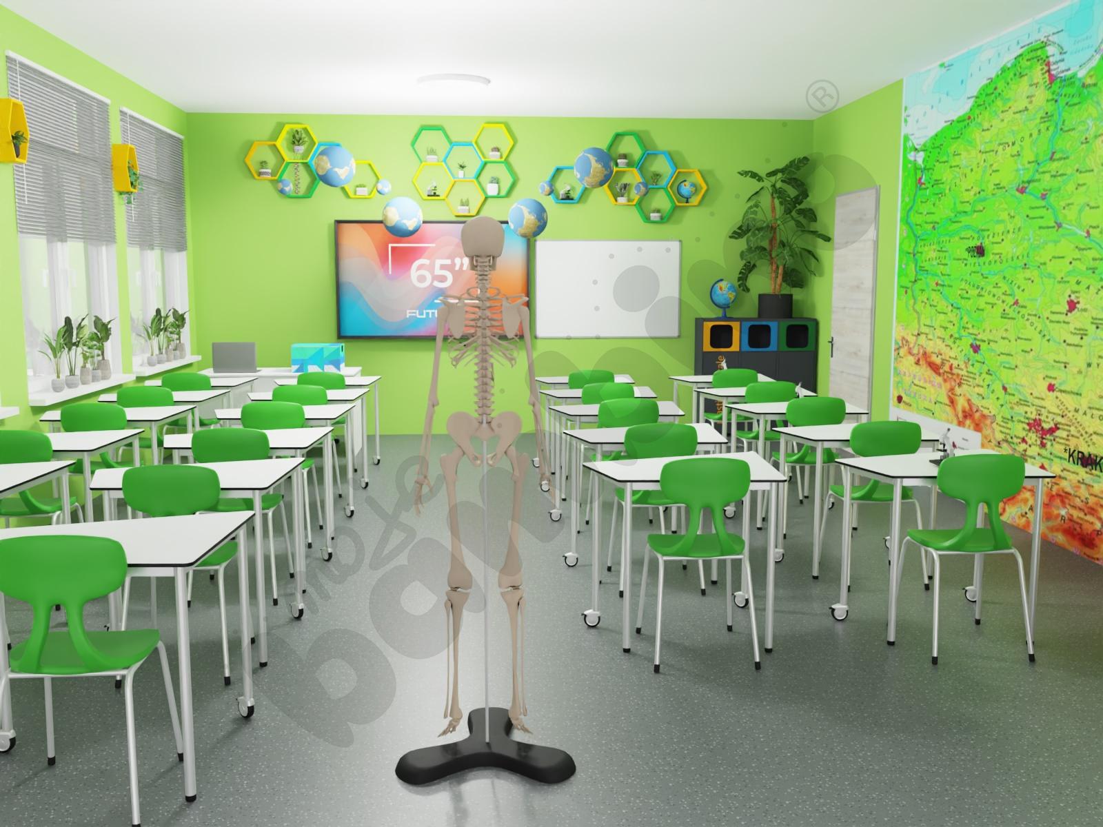 Zielona Pracownia 14