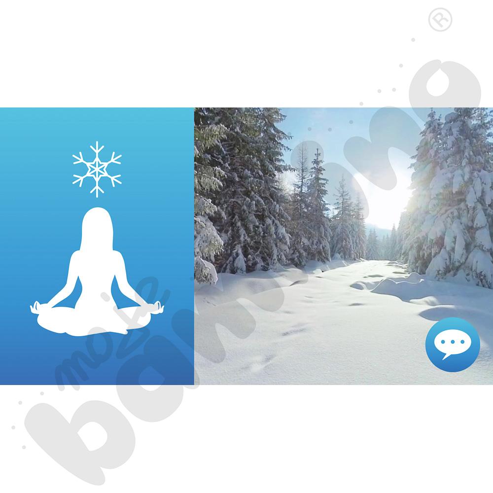 Gogle VR TierOne GO - PAKIET SINGLE CONTROL