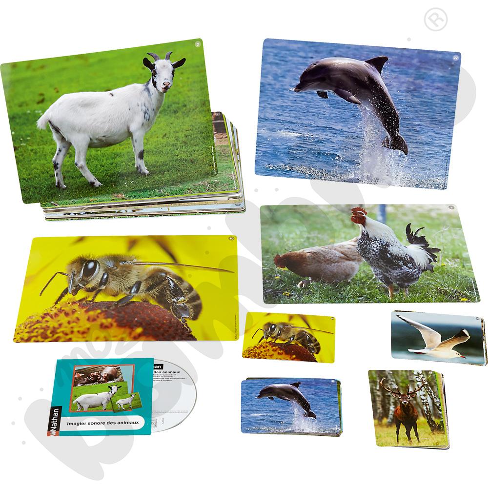 Karty obrazkowe i odgłosy zwierząt