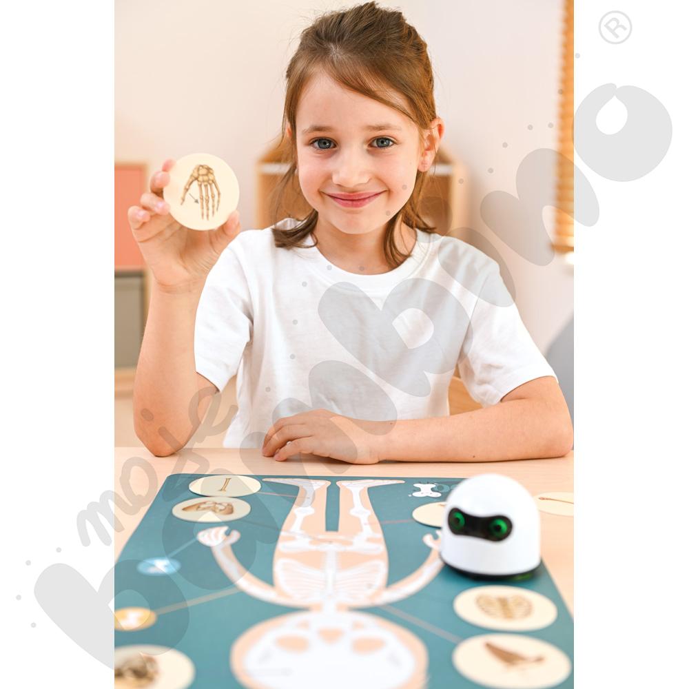 LOGI miniBot - szkielet człowieka