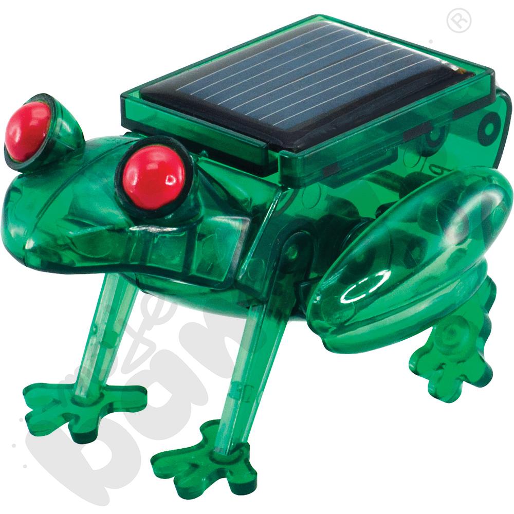 Solarna żabka