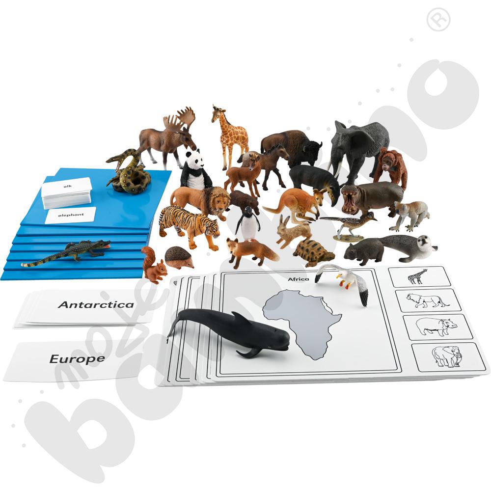 Zwierzęta na kontynentach - pudełko aktywności