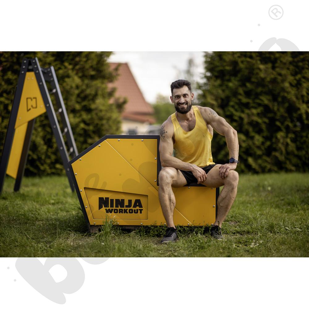 NinjaWorkout Master - Schody