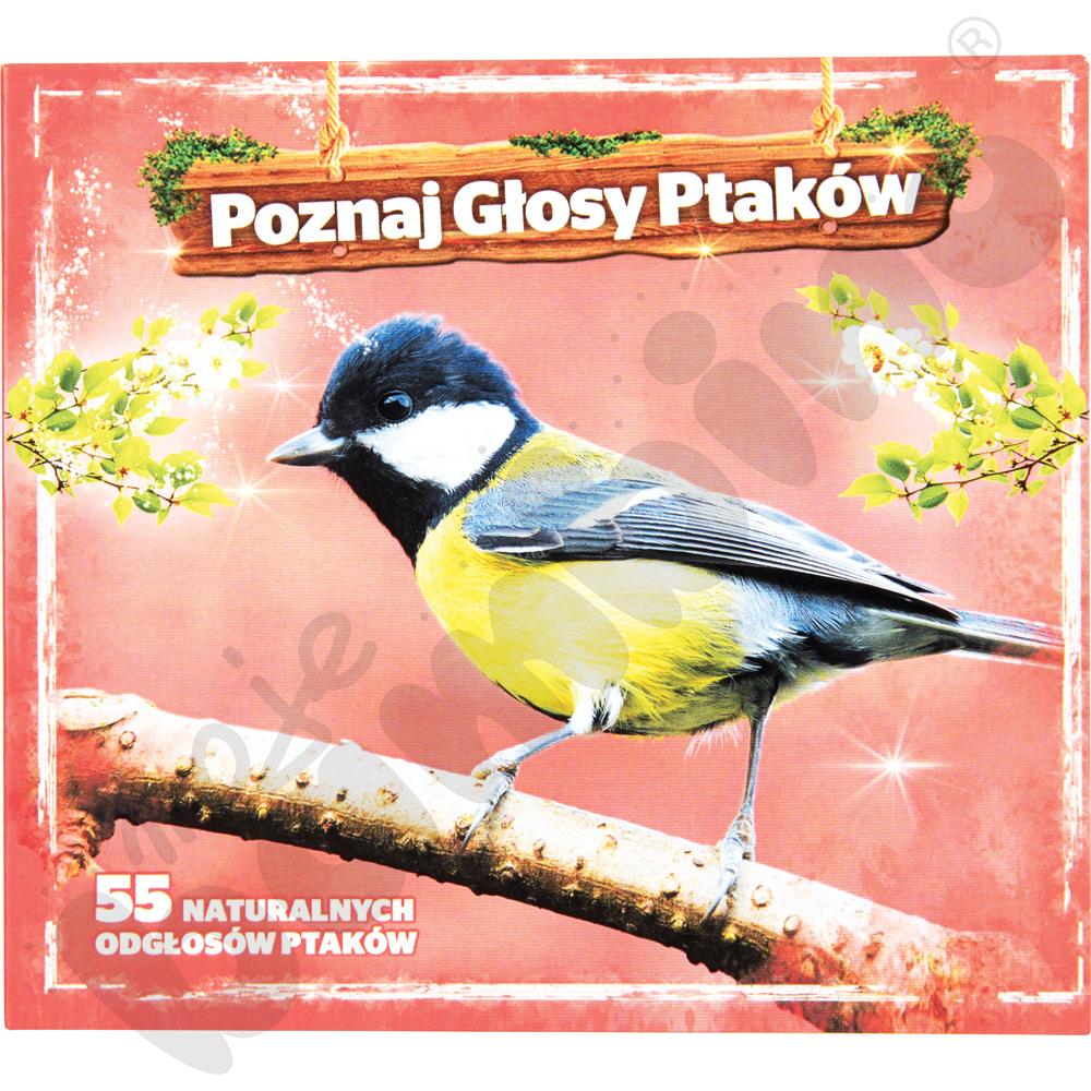 Poznaj głosy ptaków