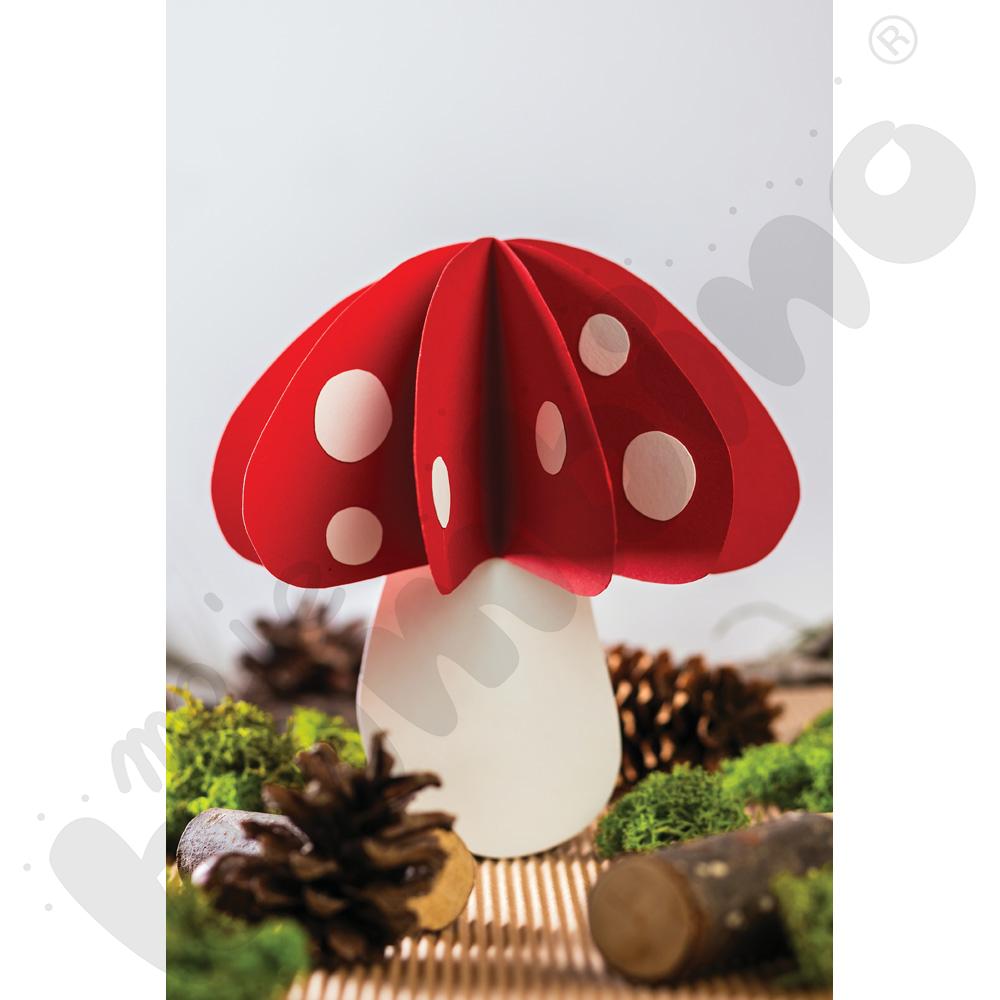 Karton gładki 25 arkuszy o wym. 50 x 70 Karton gładki 25 arkuszy o wym. 50 x 70