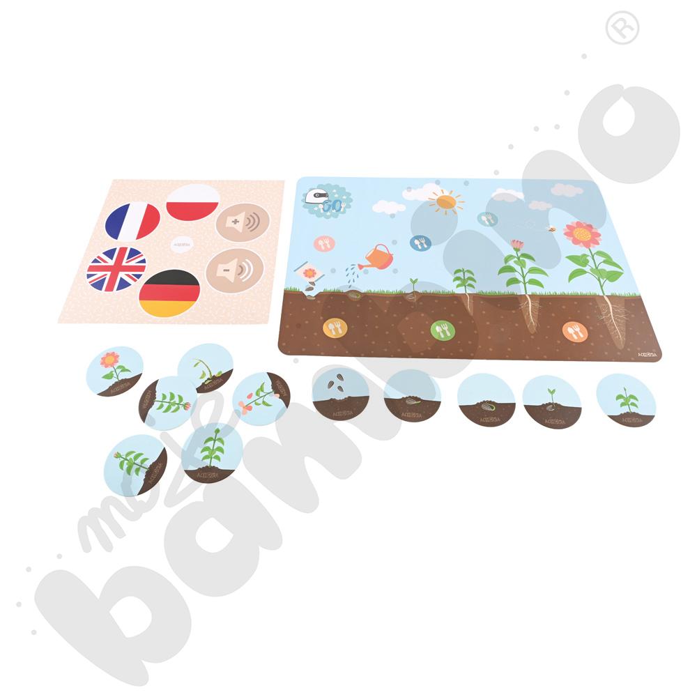 LOGI miniBot - cykl życia kwiatu