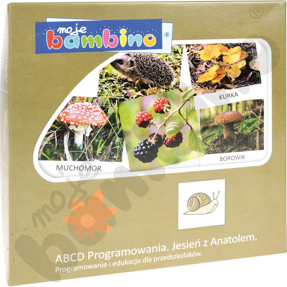 ABCD programowania - Jesień z Anatolem ABCD programowania - Jesień z Anatolem