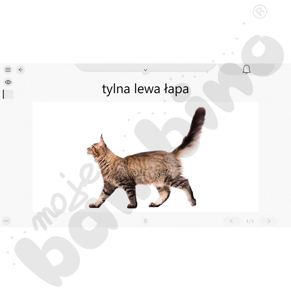 Zestaw C-Eye® EDU