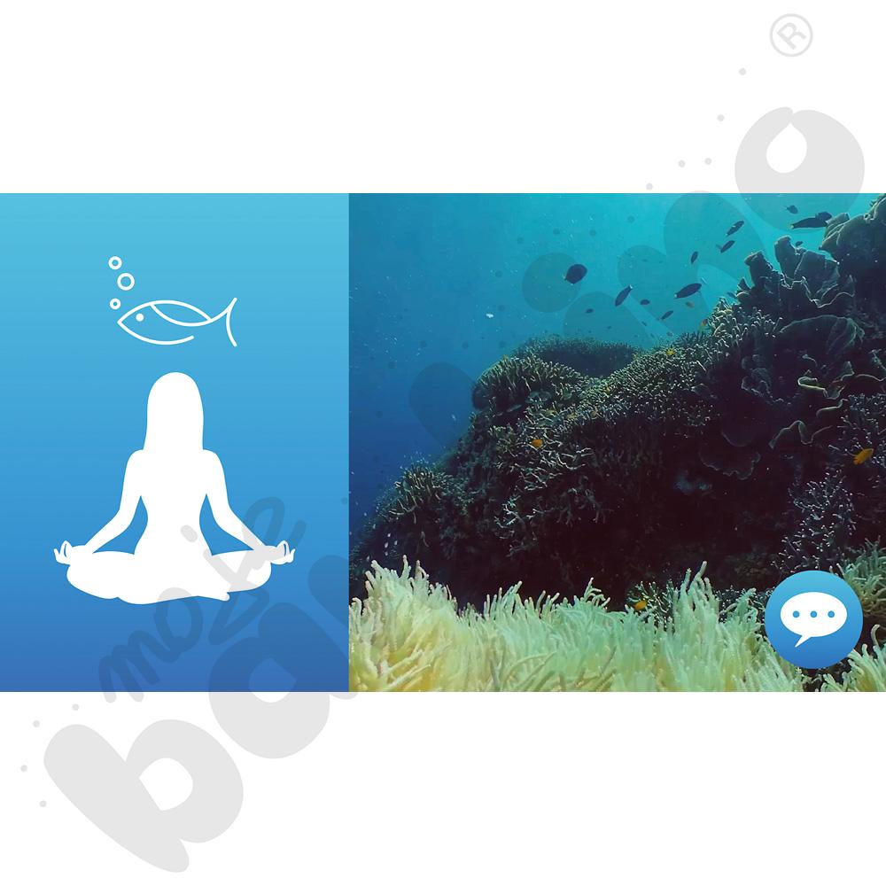 Gogle VR TierOne GO - PAKIET SINGLE CONTROL