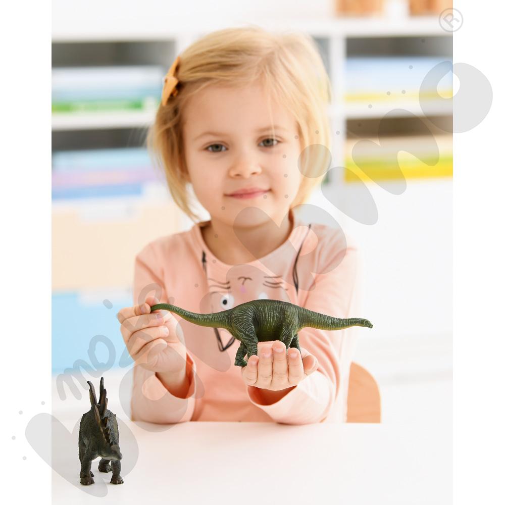 Dinozaury - zestaw Dinozaury - zestaw