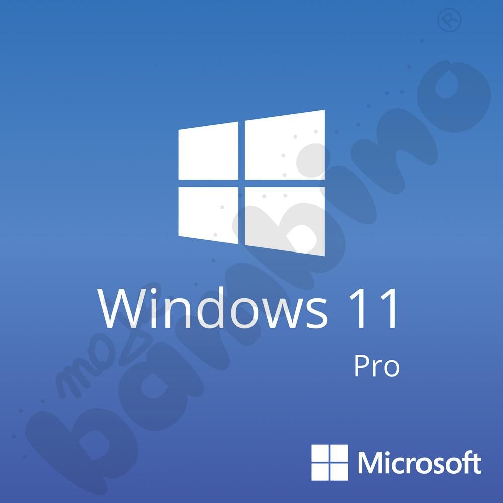 Microsoft Windows 11 Pro