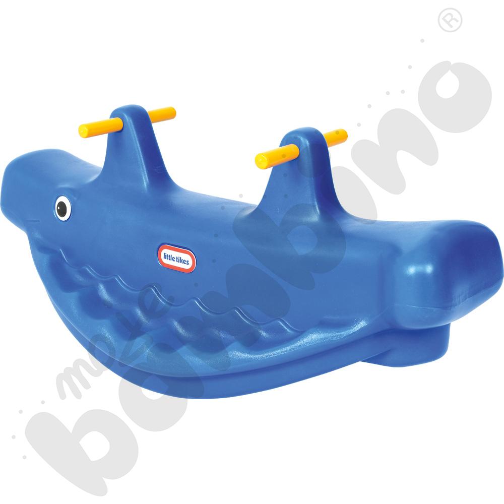 Wieloryb na biegunach niebieski