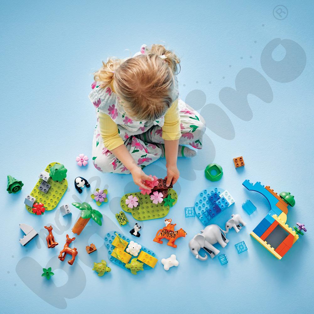 LEGO® Duplo Rodziny dzikich zwierząt 3 w 1