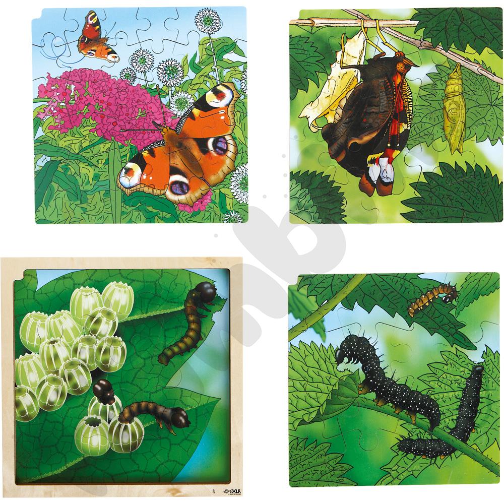 Puzzle 4-warstwowe - cykl życia motyla