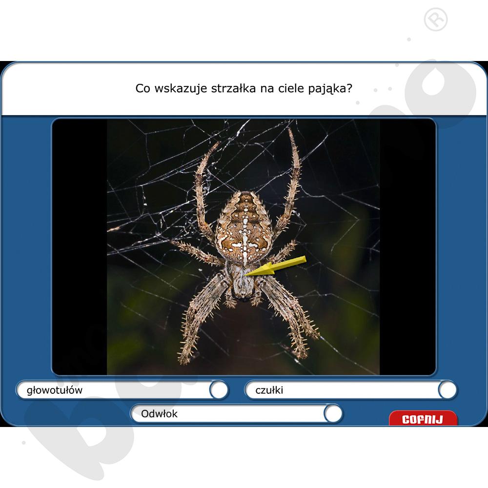 Didakta – Biologia 2 – Rośliny i zwierzęta 