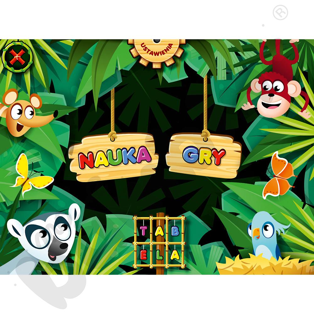 Zanim pójdę do szkoły - program multimedialny