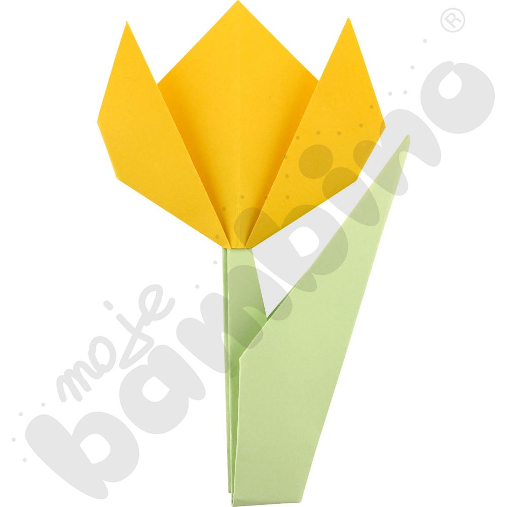 Tulipan origami