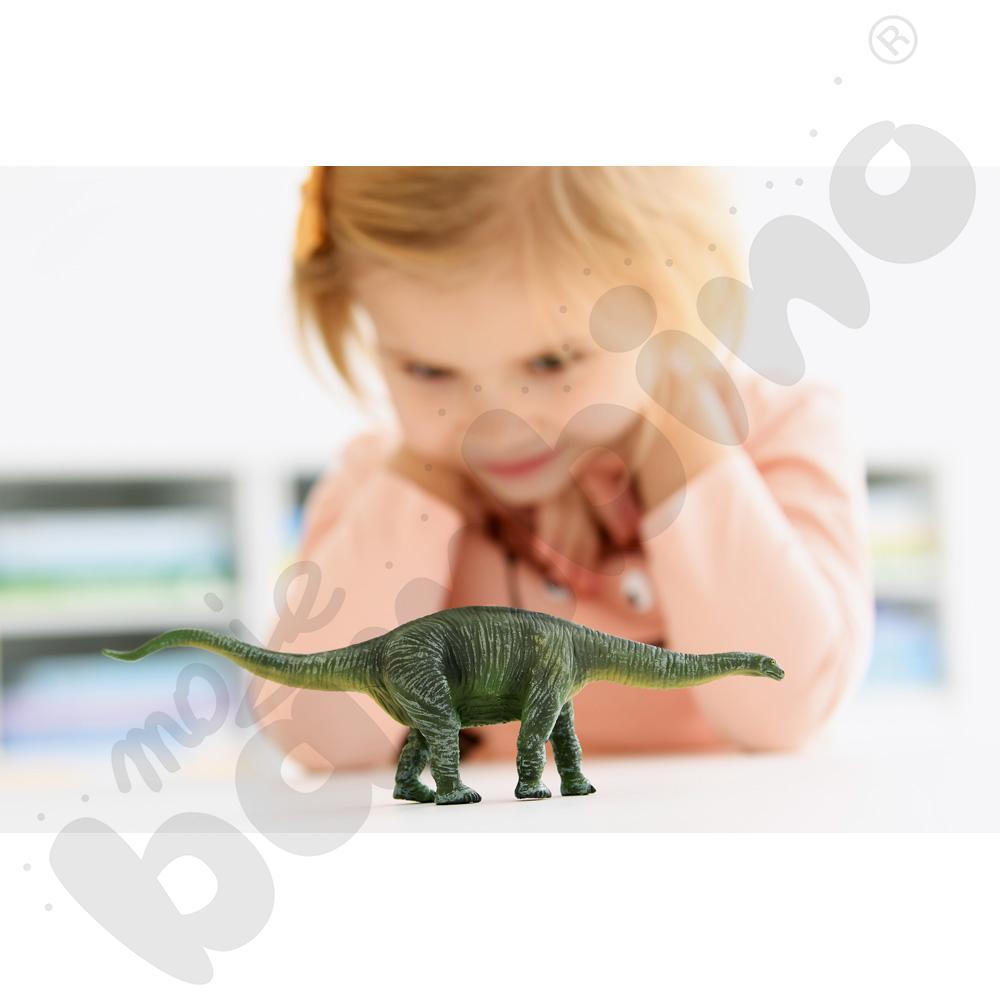 Dinozaury - zestaw Dinozaury - zestaw