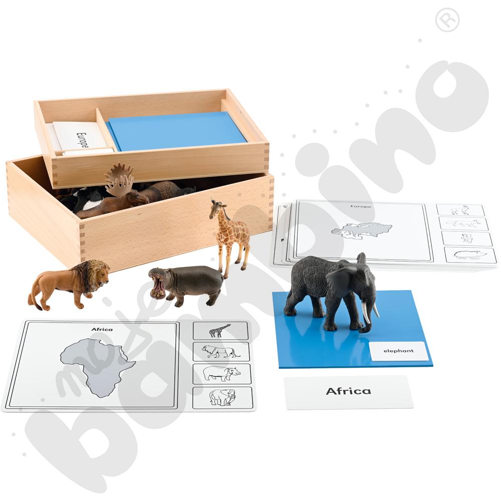 Zwierzęta na kontynentach - pudełko aktywności