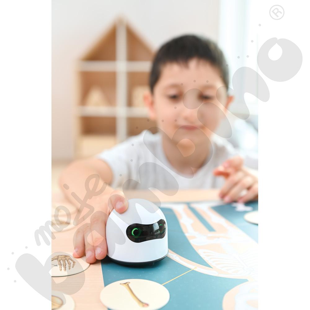 LOGI miniBot - szkielet człowieka