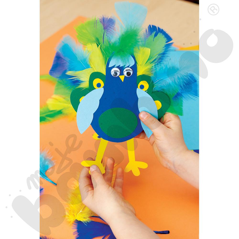 Kolorowe piórka Kolorowe piórka