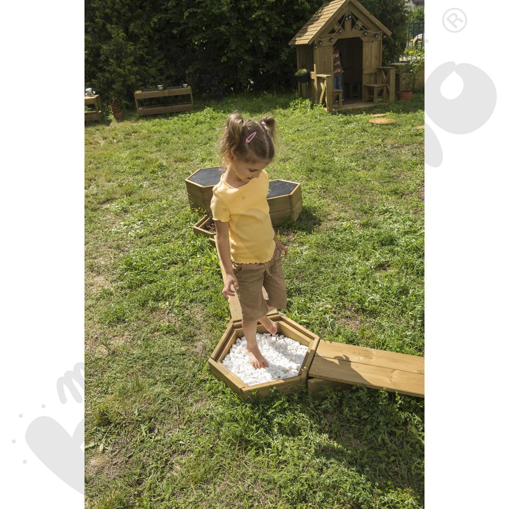 Sześciokąt sensoryczny Terra