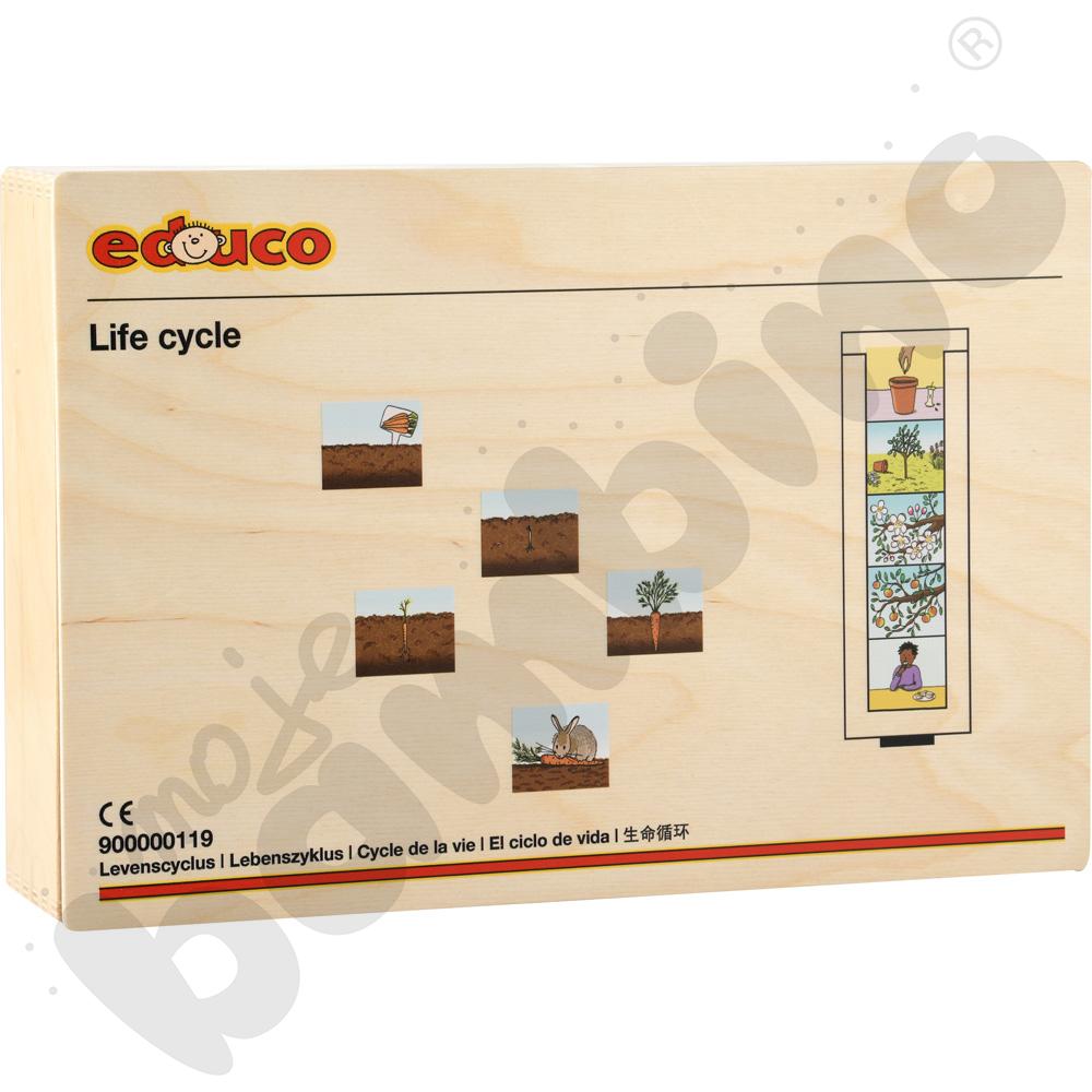 Cykl życia - człowiek, rośliny i zwierzęta - zestaw dla 2 os. Cykl życia - człowiek, rośliny i zwierzęta - zestaw dla 2 os.