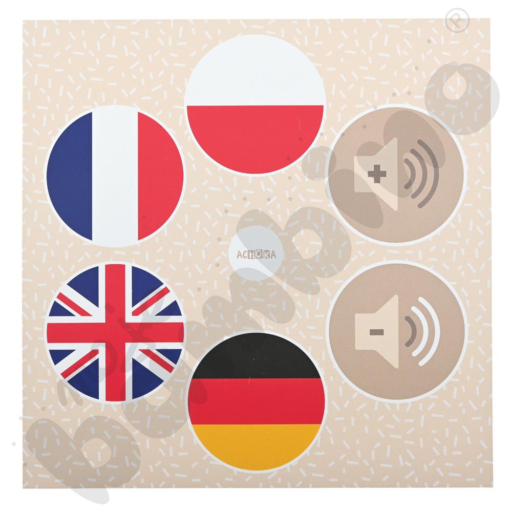 LOGI miniBot - narządy wewnętrzne człowieka