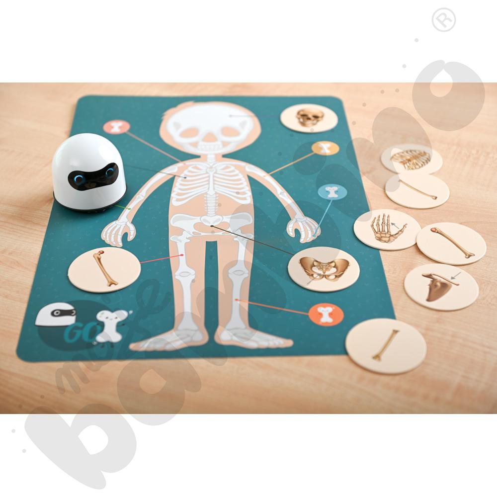 LOGI miniBot - szkielet człowieka