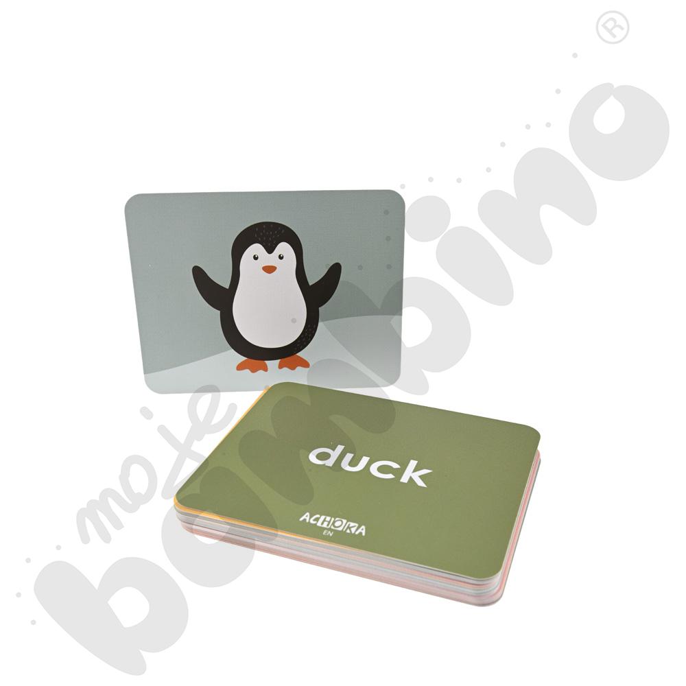 LOGI miniBot - zwierzęta - w języku angielskim