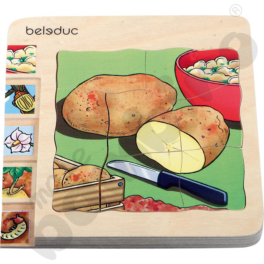 Edukacyjne puzzle warstwowe - ziemniaki