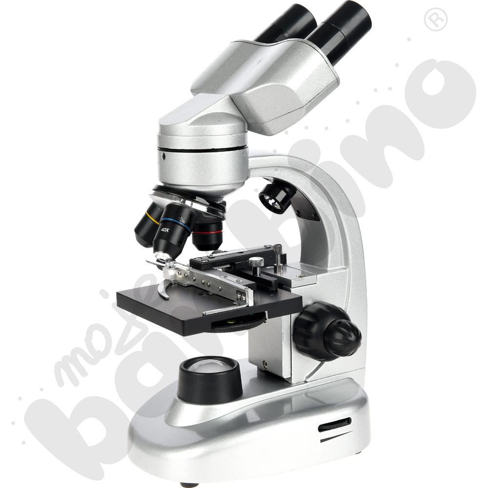 Mikroskop WF10x