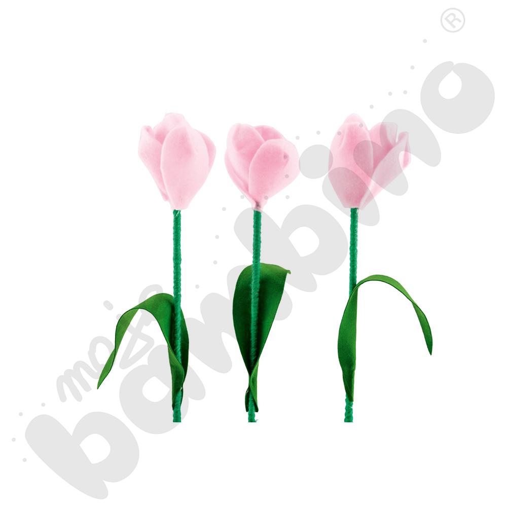 Tulipany