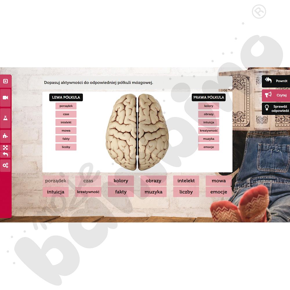 Metoda projektu w edukacji wczesnoszkolnej cz. 3, kl. III Metoda projektu w edukacji wczesnoszkolnej cz. 3, kl. III