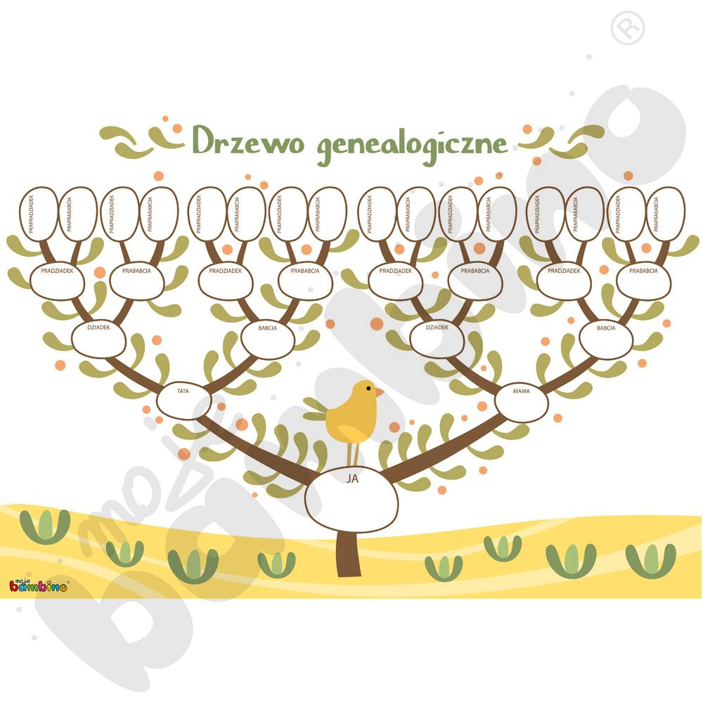 Drzewo genealogiczne