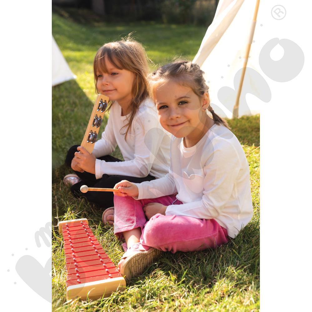 Dzwonki diatoniczne Dzwonki diatoniczne