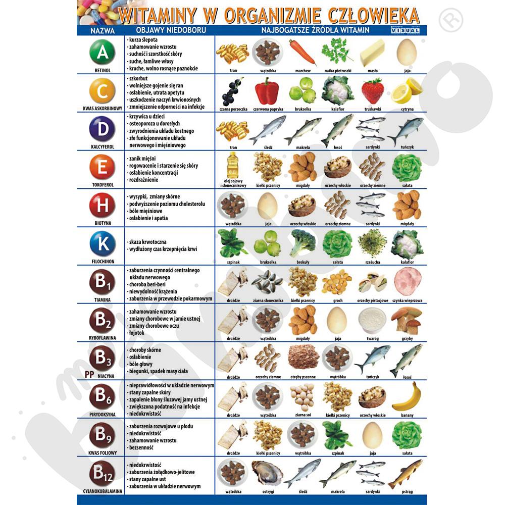 Plansza dydaktyczna - witaminy w organizmie człowieka