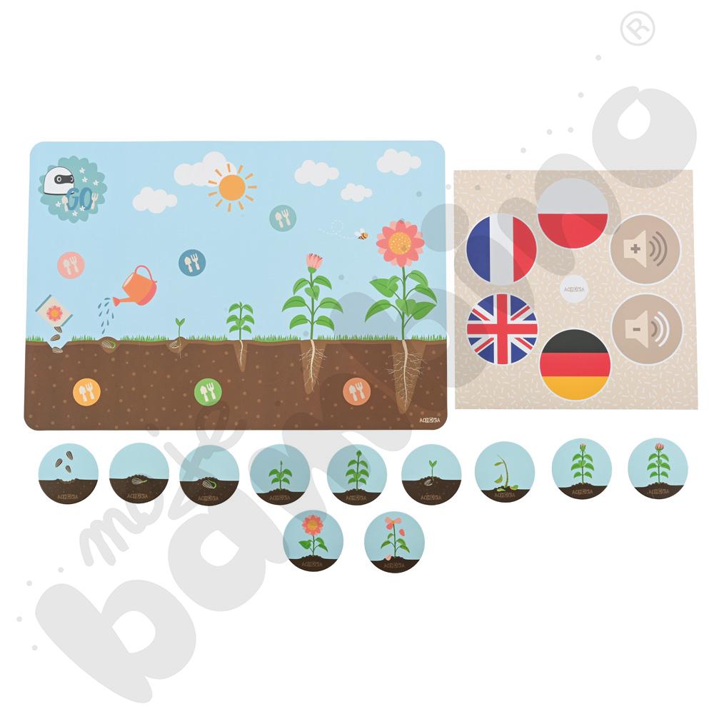 LOGI miniBot - cykl życia kwiatu